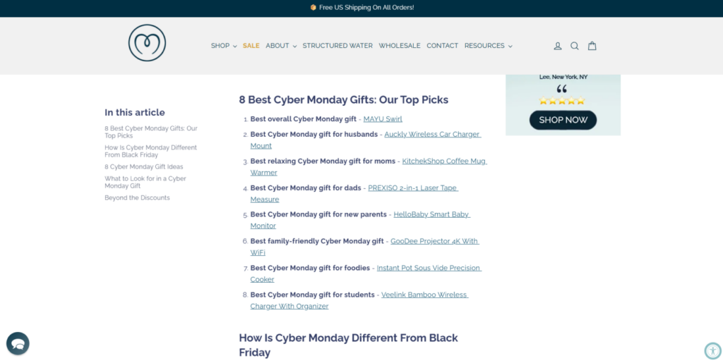 Cyber Monday Gift Guide Blog Article Example